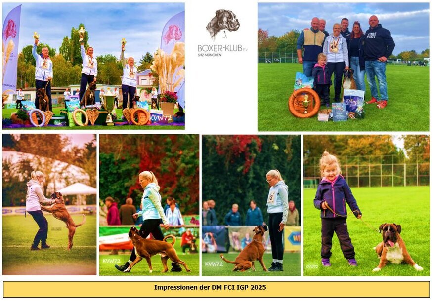 Was für ein Wochenende - Calito & ich erreichten bei der DM IGP des Boxer-Klub e.V. Sitz München den 3. Platz.   So ein spannendes Finale am Sonntag, mit dem vorletzten Schutzdienst und unsere Zahnfee Litti hat abgeliefert Unsere harte Arbeit wurde belohnt und nachdem wir oft knapp dran vorbei gerutscht sind - durfte Calito endlich auf seinen verdienten Treppchenplatz!   Ein großes Danke geht an mein Team Heepen, meine Helfer Florian und Alex, an Tiffi Friederike Barthel , an meinen Mann Christoffer, an Lena & Kirsten, an Hundephysio bei Linda und natürlich wie immer an meinen Papa Heinrich! Vielen Dank an Kai Weber, Thomas Haffner, Constanze Störring und Karsten Hahn für diese ganzen Mega Bilder!! Ich freue mich über jedes Einzelne!   Jetzt heißt es kurze Pause und in 2 1/2 Wochen steht schon wieder unser Oberbürgermeister Pokalkampf vor der Tür  