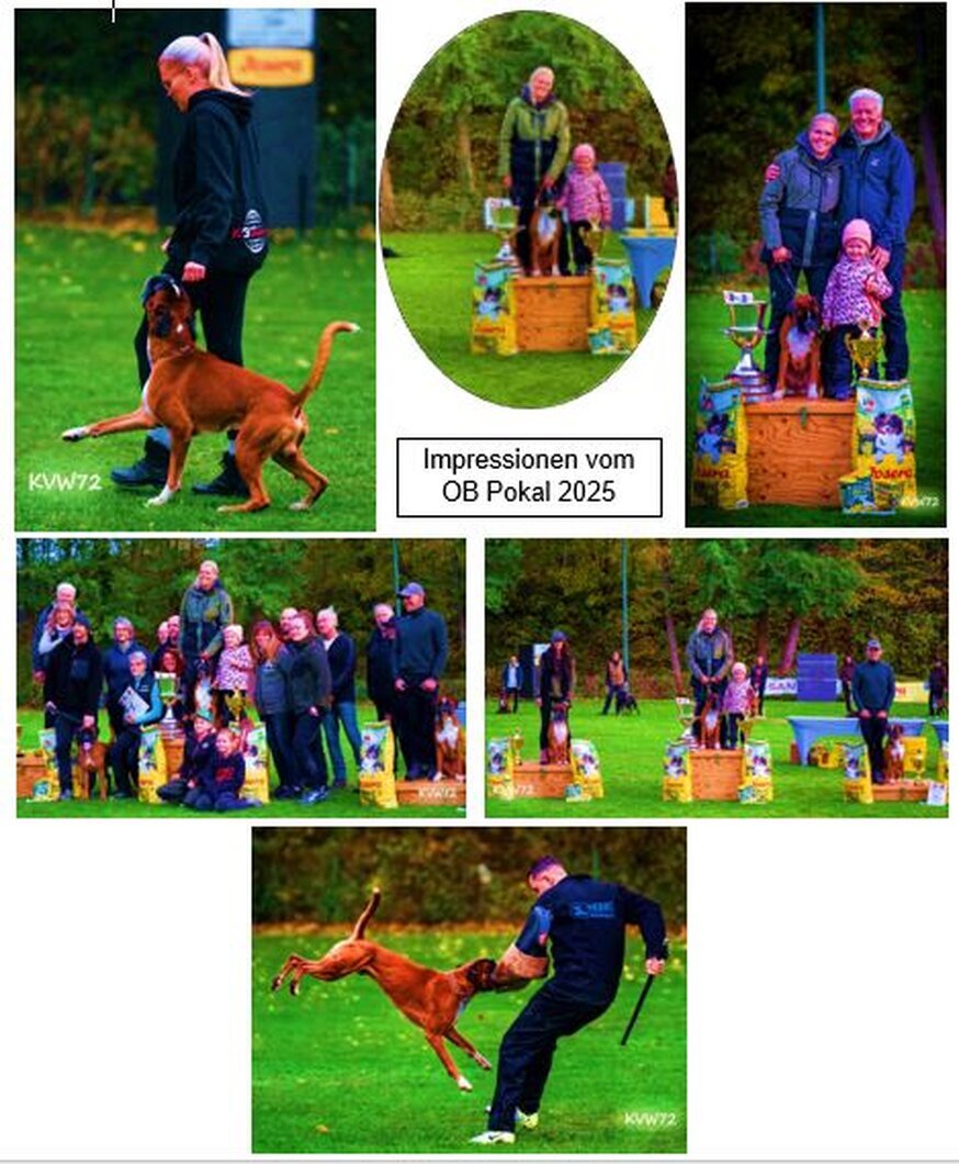 OB Pokal 2025  - Mareike hat den Titel verteidigt  Mit A 98 B 95 C 96a Ges. 289 erreichte unser Calito erneut, nach 2024 den 1. Platz in einem starken Starterfeld! Es war wieder ein wahres Hundesportfest mit so vielen Freunden aus Nah und Fern. Einfach toll wie viele Boxerfreunde jedes Jahr den Weg zu uns finden und mit uns gemeinsam feiern. Danke euch Allen! Mein großer Dank geht wie immer an mein Team Heepen, meine beiden Helfer Alex & Florian, Tiffi Friederike Barthel , meinen Vater Heinrich Hollmann und meinem Mann Christoffer.  Mein Dank geht auch an Kirsten & Lena - Wir läuten noch nicht ganz die Winterpause ein, aber es wird ruhiger und wir freuen uns schon auf 2026