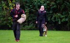 Hundesport mit dem Deutschen Boxer