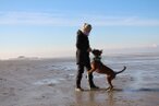 Urlaub mit dem Deutschen Boxer